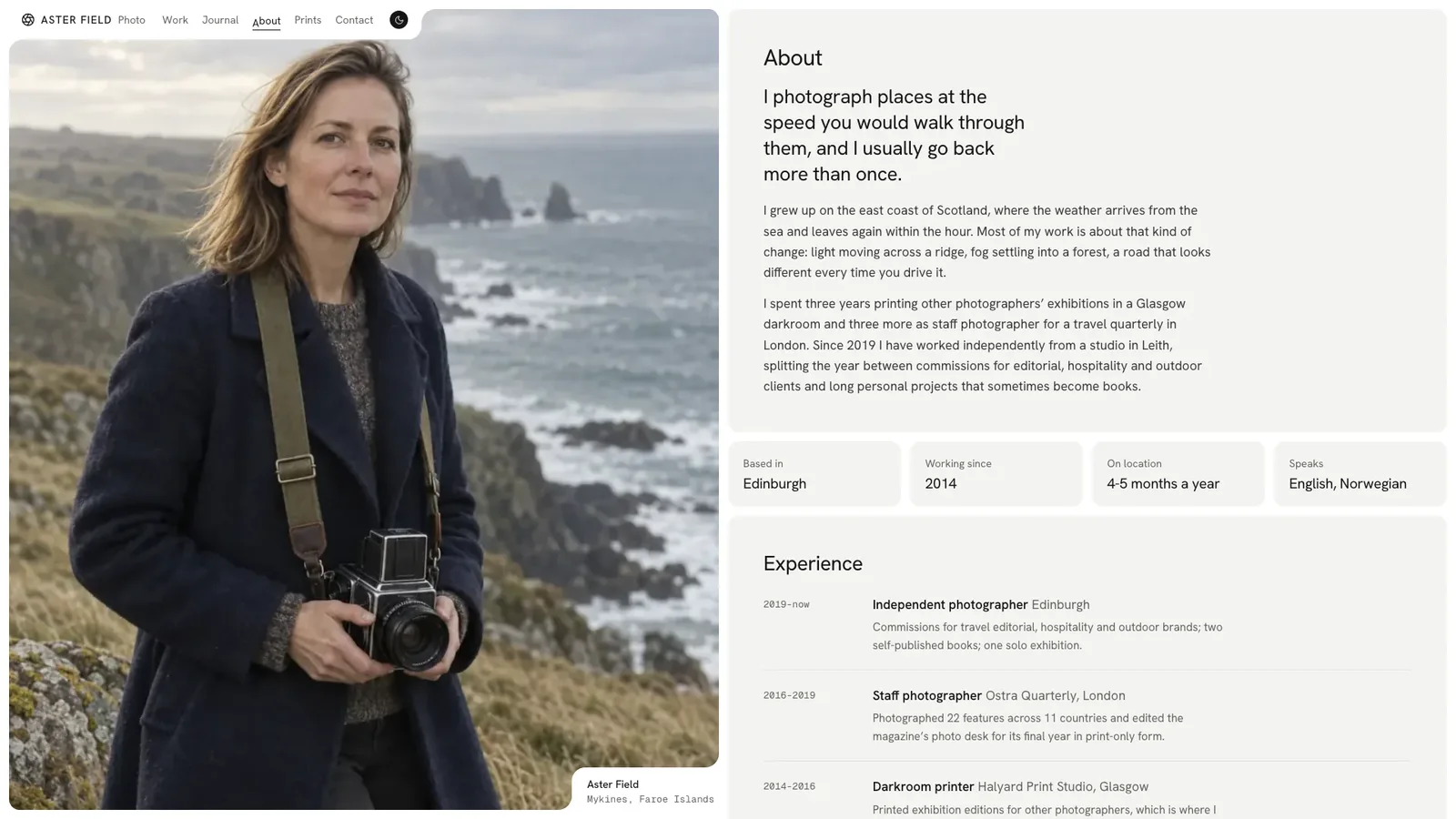 Split Frame Portfolio result preview 3
