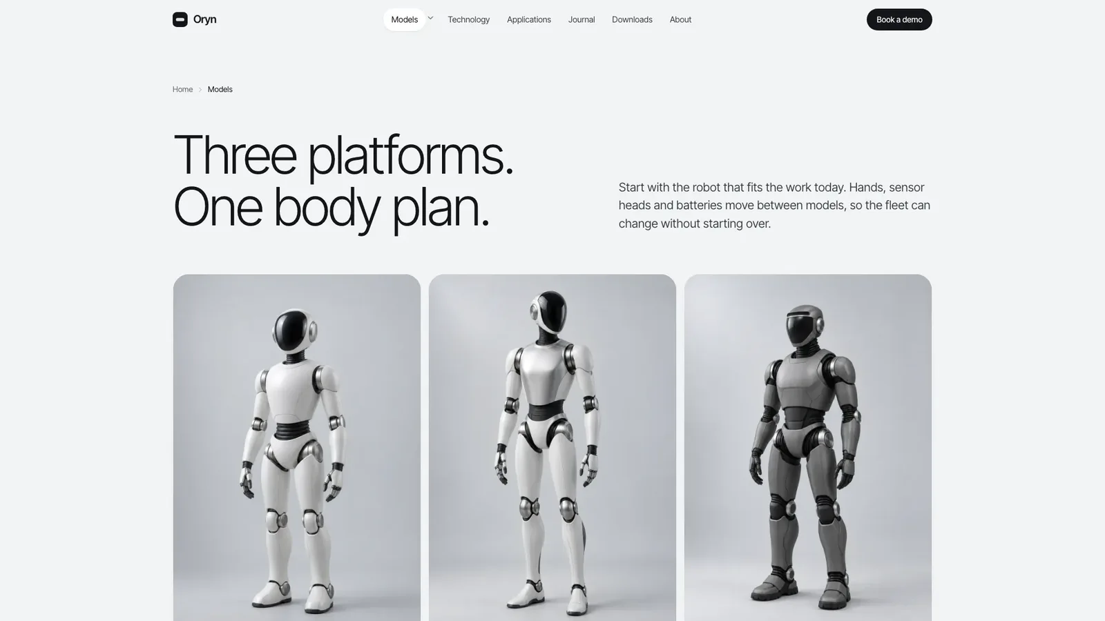 Silver Robot Product Site result preview 3